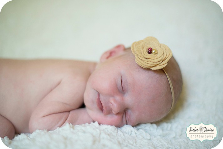 Brevard Newborn Portrait Photographer