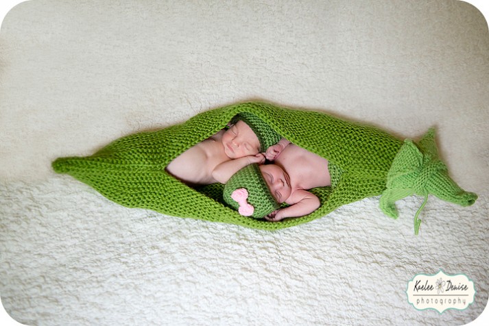 Brevard Newborn Portrait Photographer