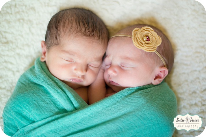 Brevard Newborn Portrait Photographer