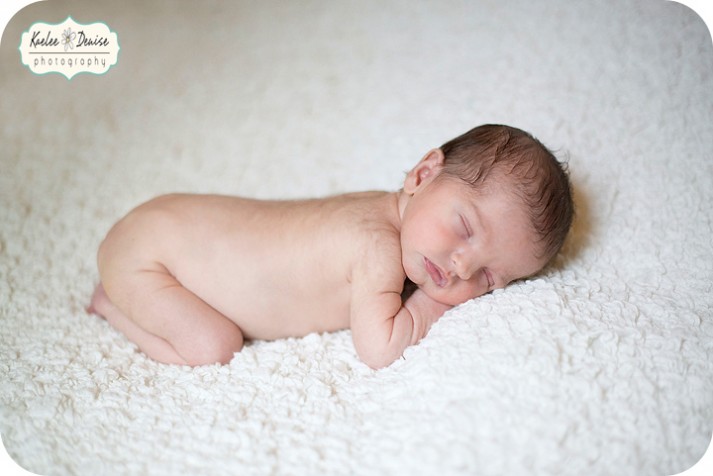Brevard Newborn Portrait Photographer