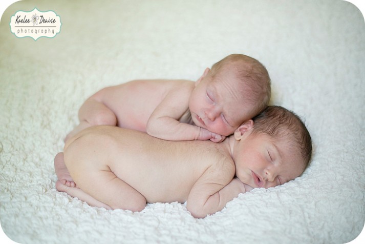 Brevard Newborn Portrait Photographer