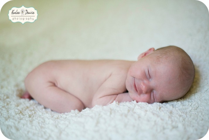 Brevard Newborn Portrait Photographer