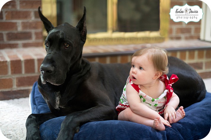 Brevard Child Portrait Photographer