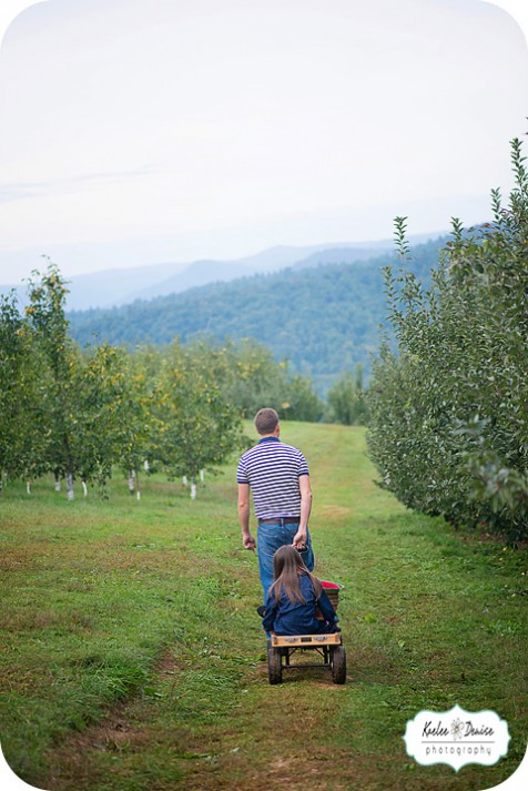 hendersonville photographer