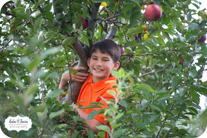 hendersonville photographer