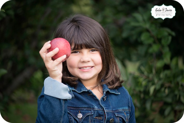 hendersonville photographer