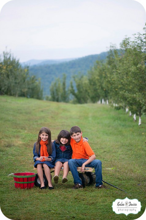 hendersonville photographer