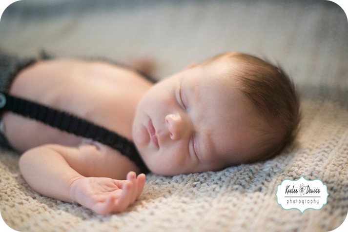 Brevard Family Photographer