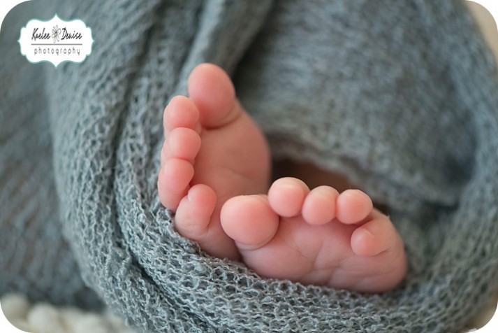 Brevard Family Photographer