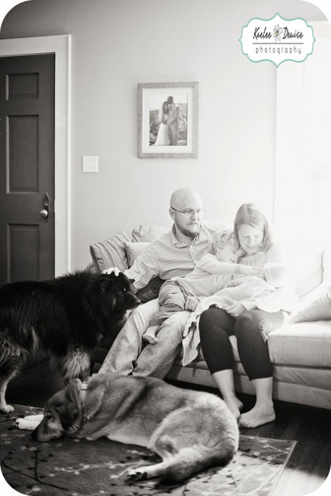 Brevard Family Photographer