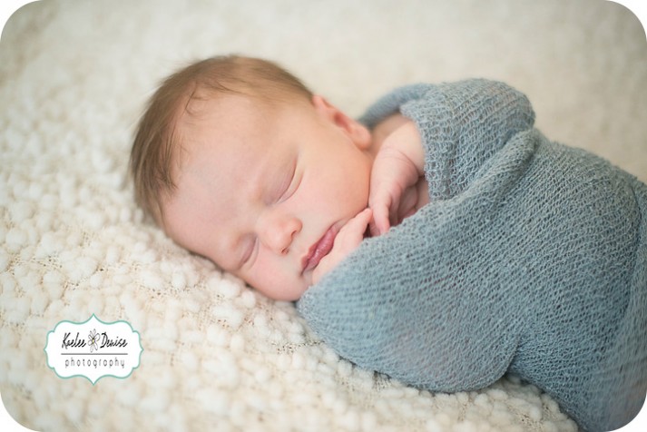 Brevard Family Photographer