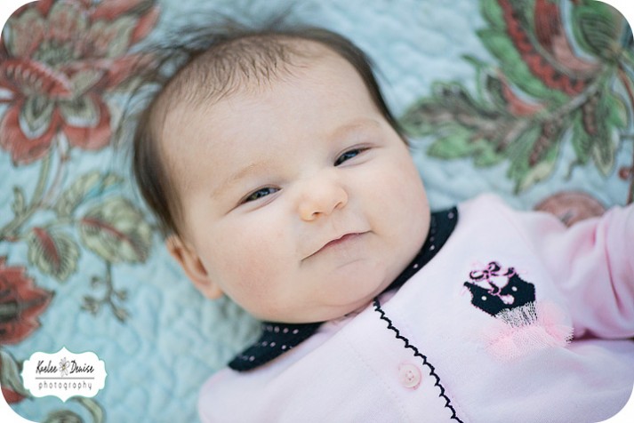 Brevard Photographer