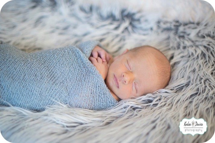 Brevard Newborn Photographer