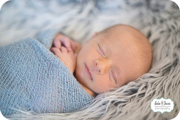 Brevard Newborn Photographer
