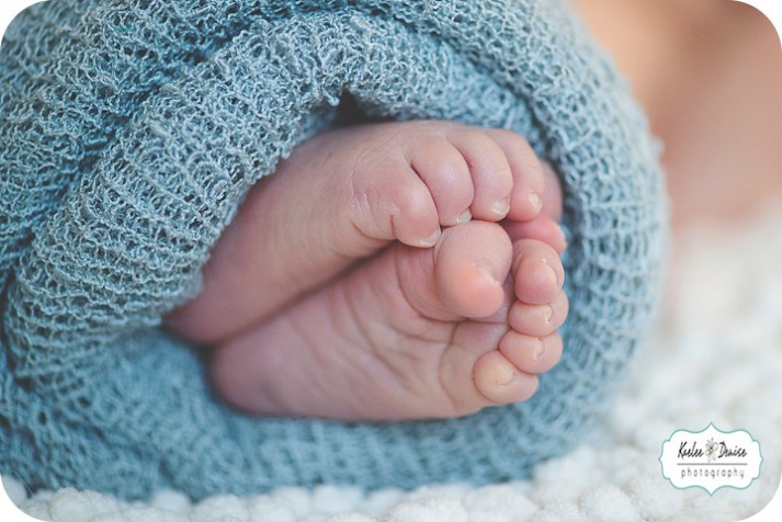 Brevard Newborn Photographer