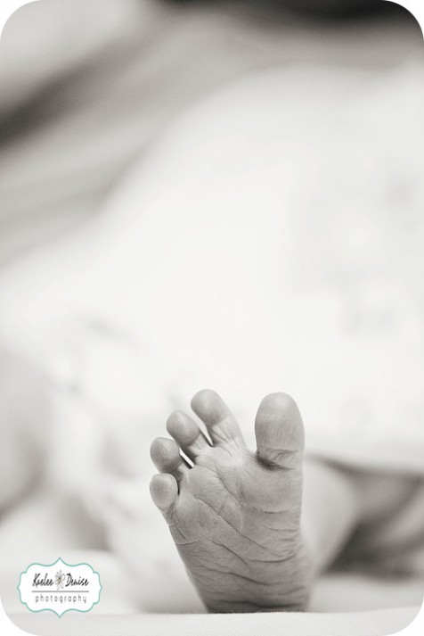 Brevard Newborn Photographer