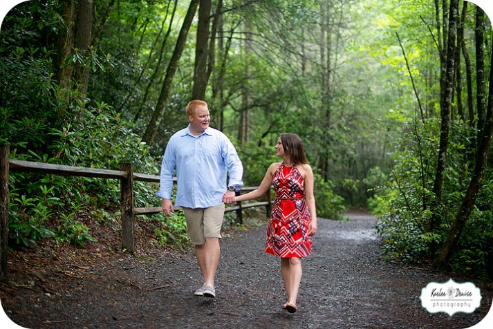 Brevard engagement photographer