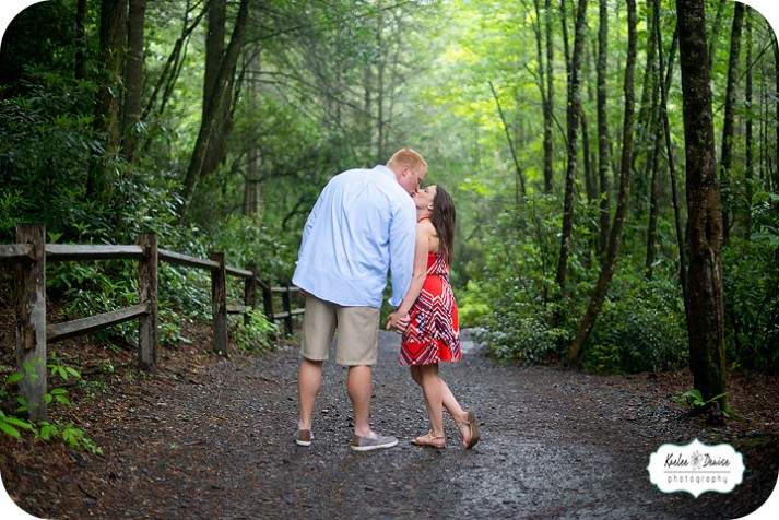 Brevard engagement photographer
