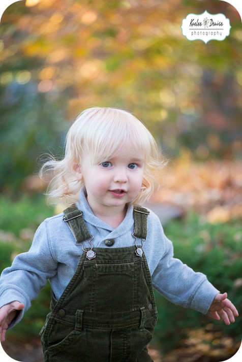 asheville photographer