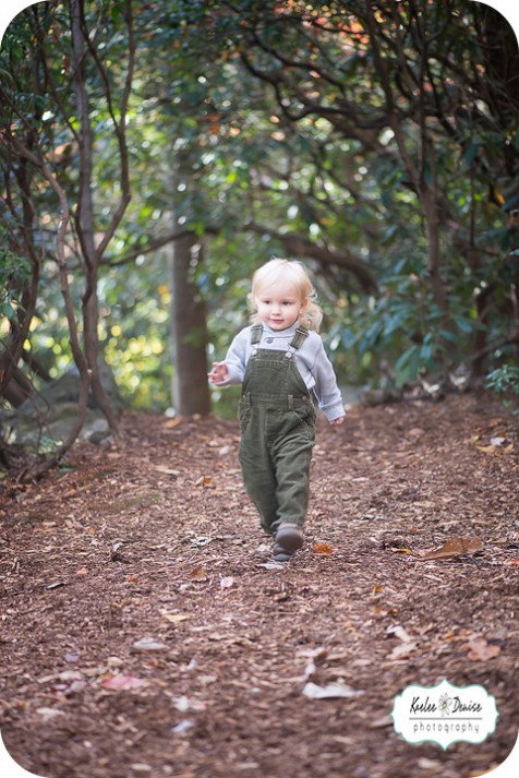 asheville photographer