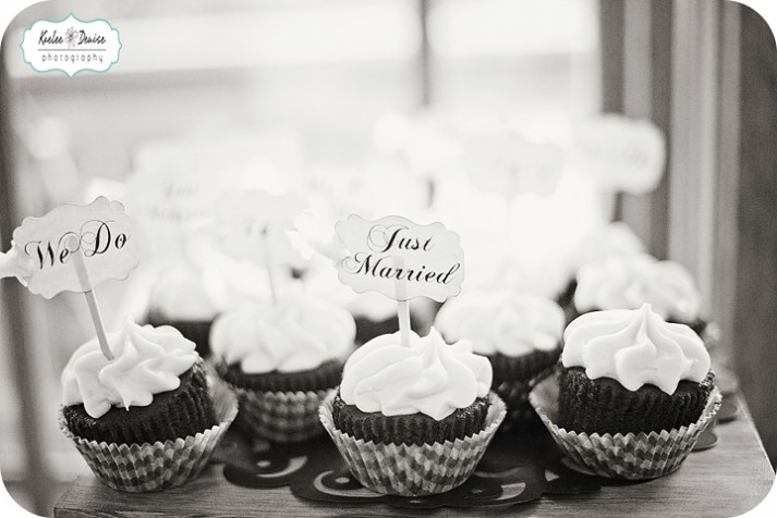 Asheville Wedding Photographer