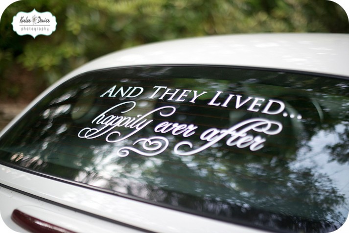 Asheville Wedding Photographer