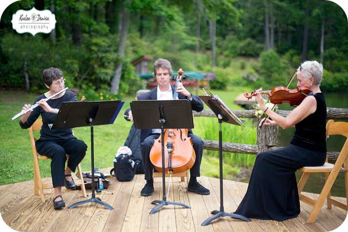 Asheville Wedding Photographer