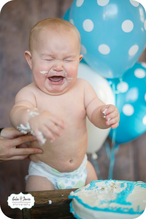 brevard photographer