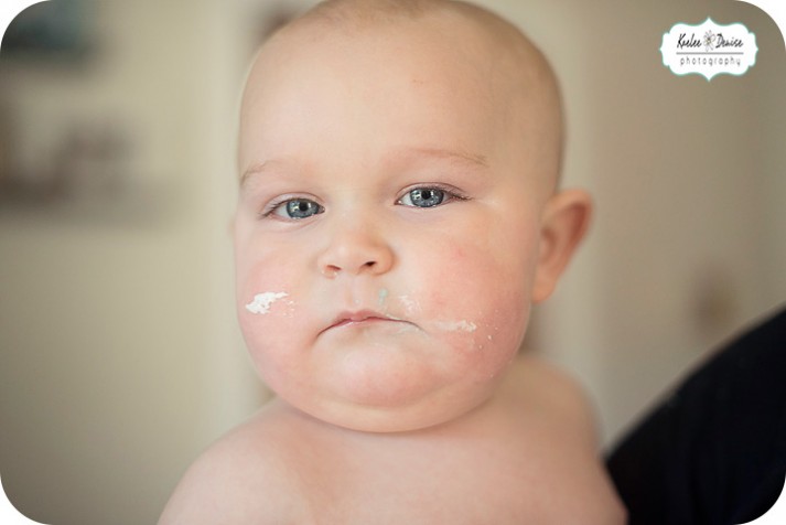 brevard photographer