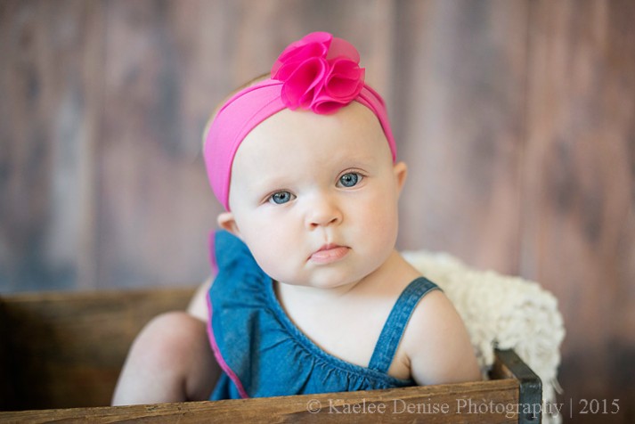 brevard photographer