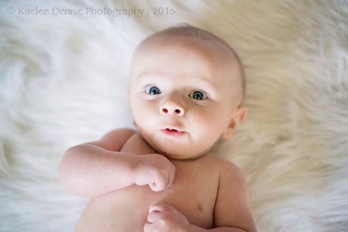 brevard photographer