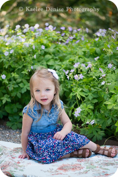 Brevard NC Photographer