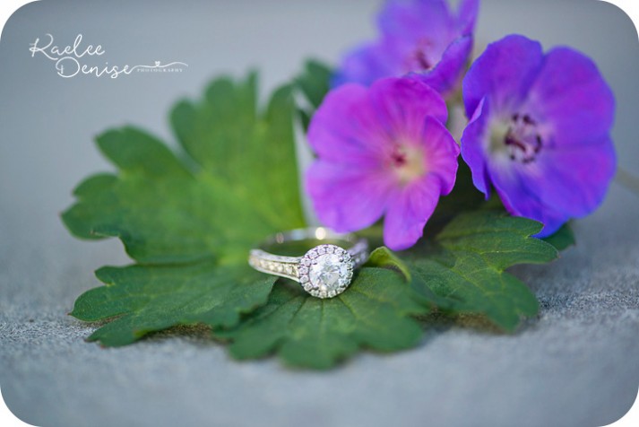 charlotte engagement photographer