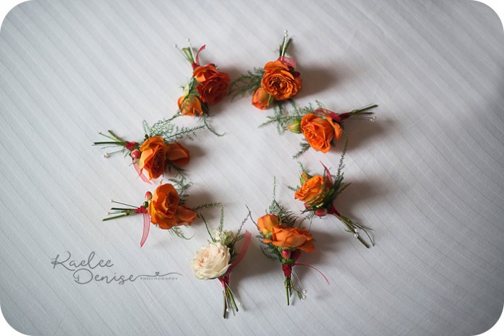 Hendersonville Wedding Photographer