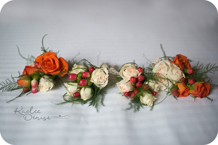 Hendersonville Wedding Photographer