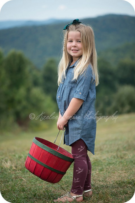 hendersonville photographer