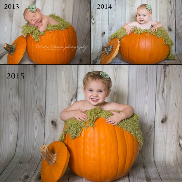 brevard portrait photographer