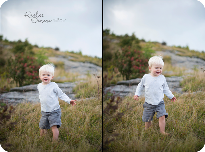 brevard photographer