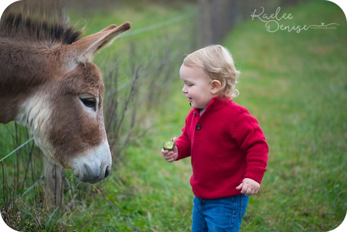 brevard photographer