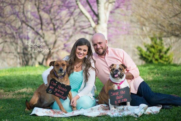 asheville wedding photographer