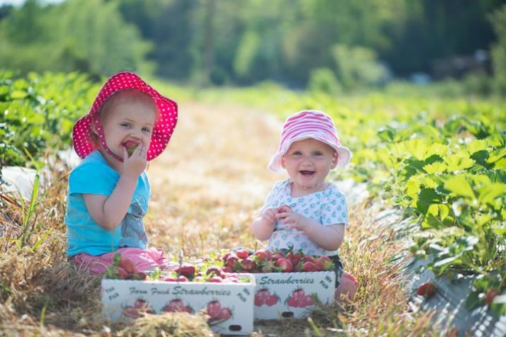 13096160_10154474284545681_9135684552233954202_n