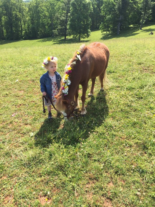 13254767_10101201673943293_3403677559758409155_o