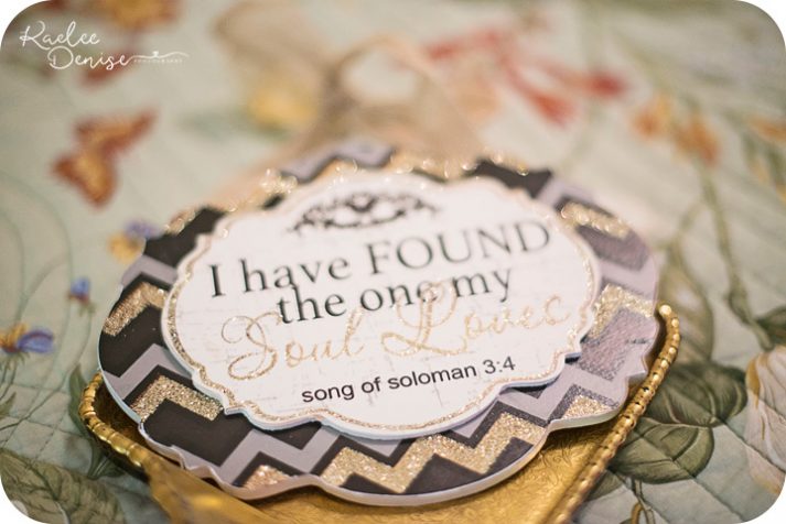 Brevard Wedding Photographer