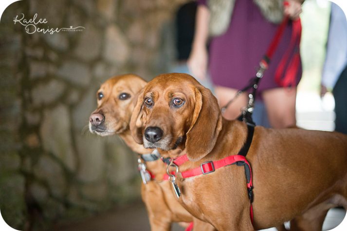 Pretty Place Wedding