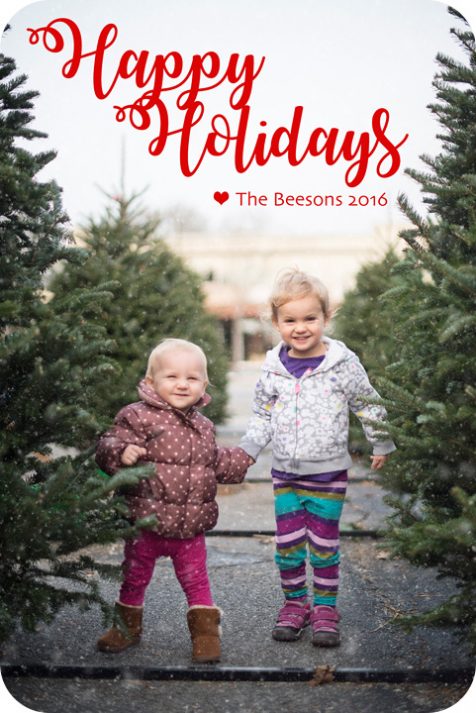 Brevard Portrait Photographer