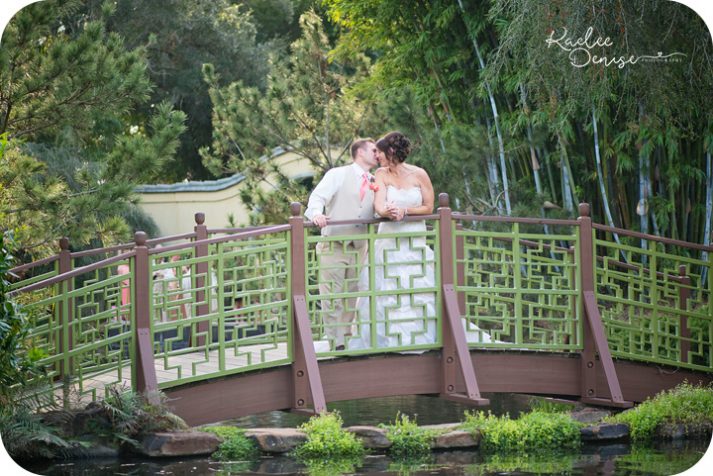 Jacksonville Zoo Wedding