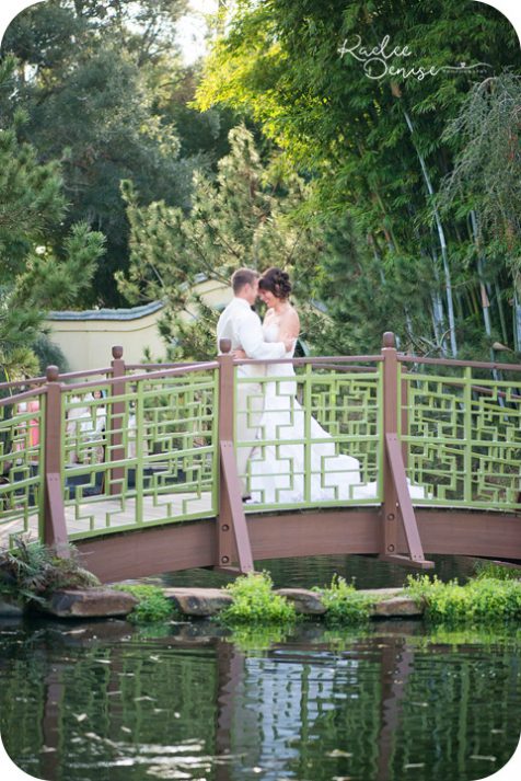Jacksonville Zoo Wedding