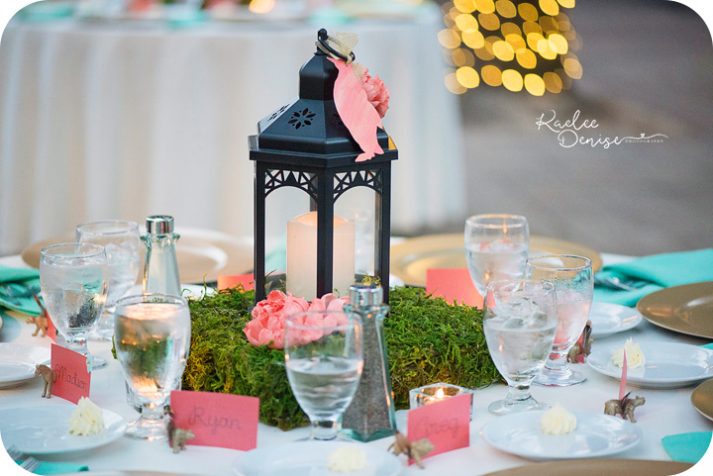 Jacksonville Zoo Wedding