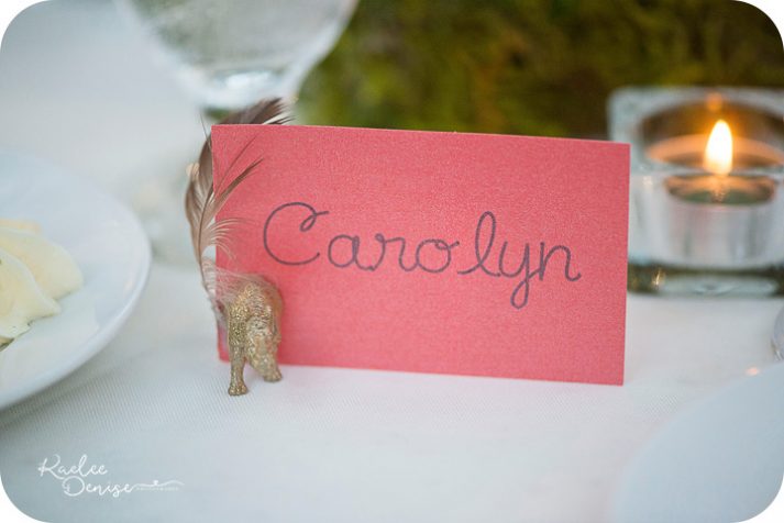 Jacksonville Zoo Wedding