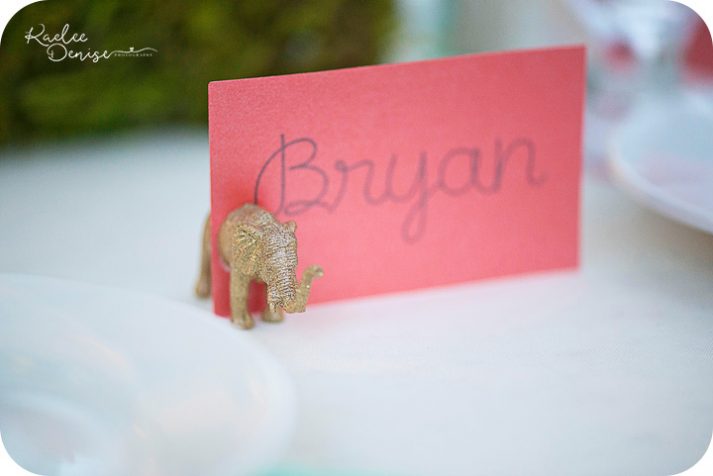 Jacksonville Zoo Wedding